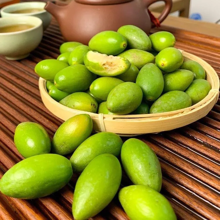 高品质青枣大橄榄脆橄榄油柑青橄榄拍2斤送1斤柿饼油甘油甘果新鲜