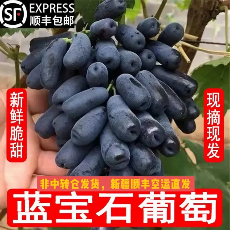 【顺丰空运】甜蜜蓝宝石手指葡）新疆乌鲁木齐直发！脆甜无籽新鲜葡萄
