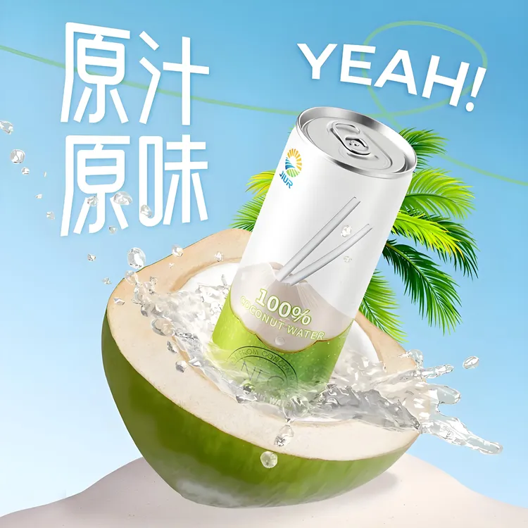 越南进口九日椰子水100%饮料零脂肪吃饭聚会煮火锅解渴饮料无添加