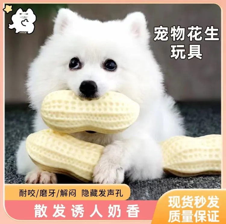 狗狗玩具耐咬磨牙发声花生中大型犬逗训狗球柯基法斗解闷神器网红