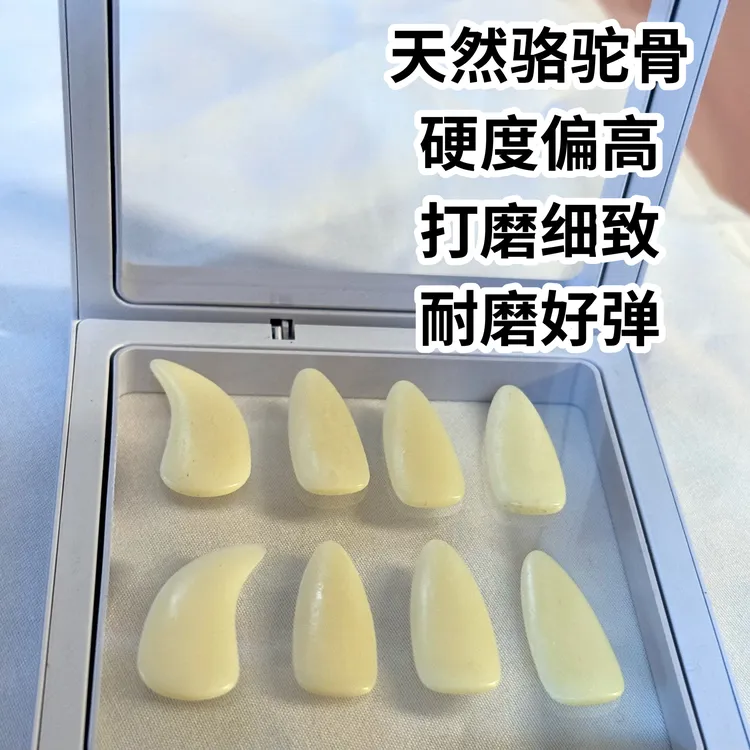 古筝骆驼骨指甲义甲双面弧