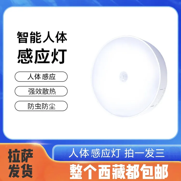拉萨发货西藏包邮家用衣橱磁吸便携式充电圆形智能暖光触摸感应灯