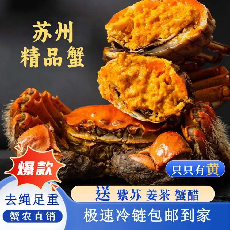 【活蟹】苏州精品大闸蟹螃蟹河蟹3两公蟹母蟹8/10只去绳足重
