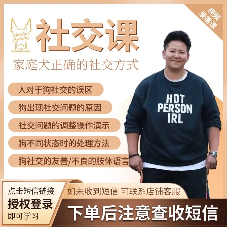 改善狗狗的社交问题