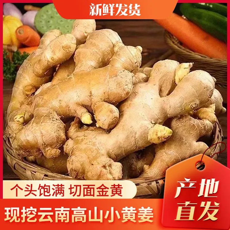 正宗云南高山小黄姜 新鲜现挖山地老姜 自然种植香味浓
