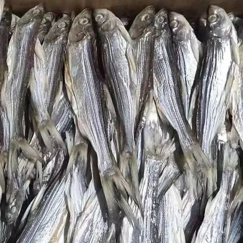 小翘嘴又名刁子鱼15cm左右