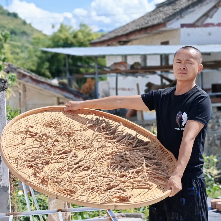藏区纯野党参，煲汤