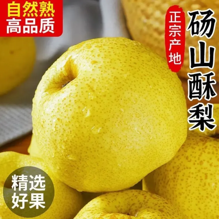 9斤装正宗砀山酥梨当季新鲜水果现摘现发薄皮脆甜多汁
