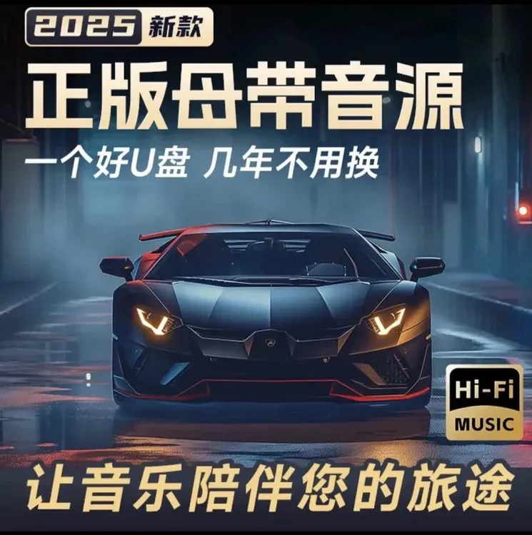 2025新款无损音质《车载U盘》抖音热门伤感神曲发烧人声重低音DJ
