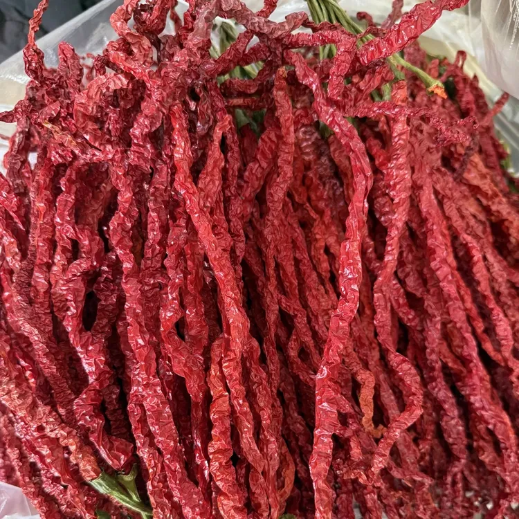 哈喇河精品线椒辣椒（干）包邮发货