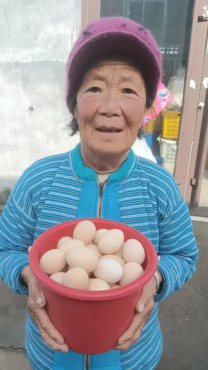 正宗农家富硒散养土鸡蛋新鲜蛋笨鸡蛋