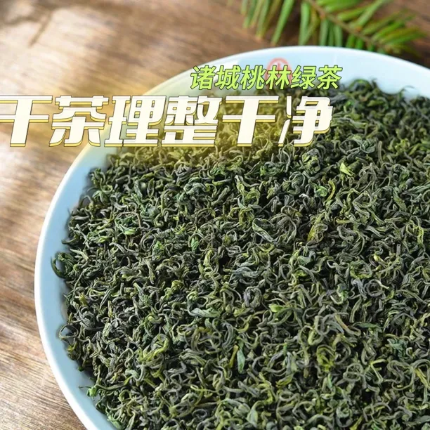 诸城桃林绿茶2025豌豆香浓郁本地特产