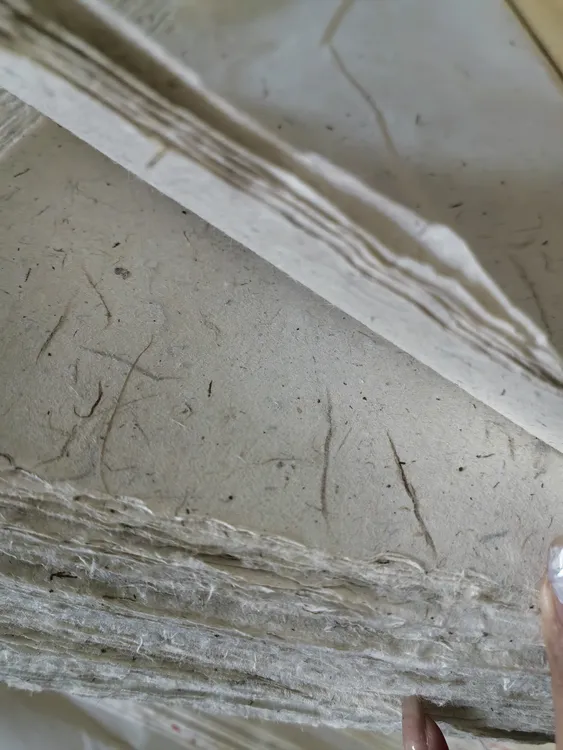 古法手工本色云龙皮纸毛边半生熟 