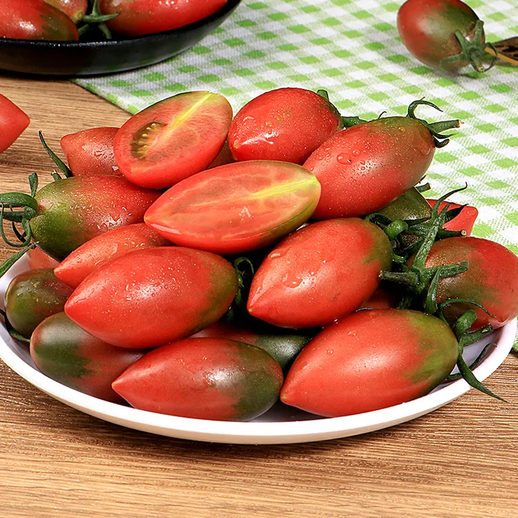 紫弹头小番茄新鲜采摘迷彩圣女果孕妇水果酸甜多汁