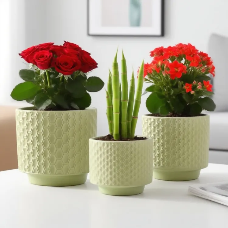 清仓花盆陶瓷家用蝴蝶兰专用花盆北欧简约ins风奶油风多肉绿植盆