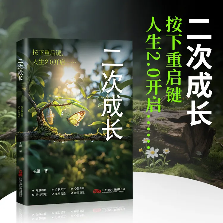 二次成长人格修补手册与自己和解5大成长阶段17种内心缺失
