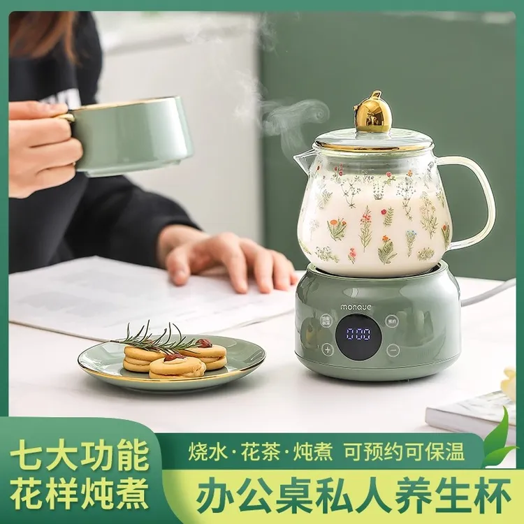 德国养生壶办公室小型多功能电炖杯女士一人养生杯迷你煮茶器茶壶