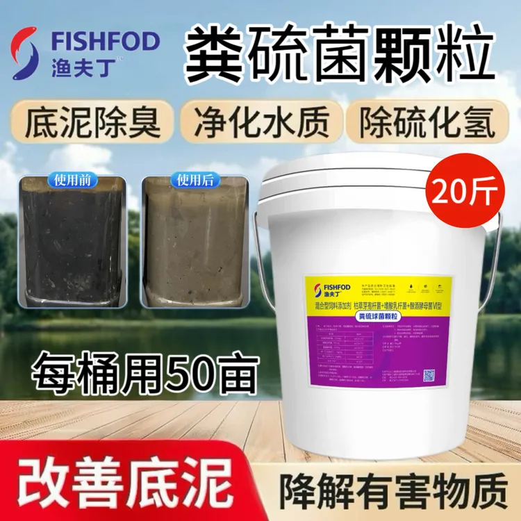 粪硫菌颗粒生物底改水产养殖池底鱼虾蟹塘硫化氢氧化菌净水底改王