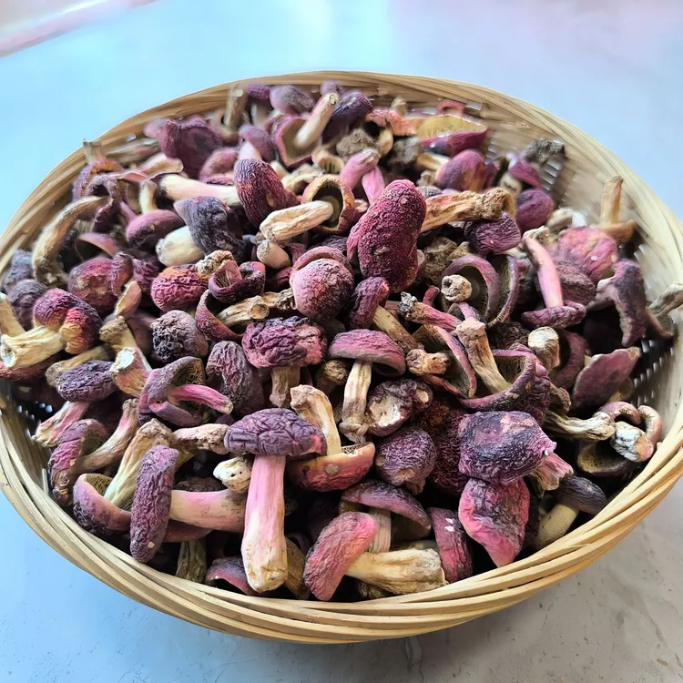 【新店福利价】精选红菇大菇丁福建野生红菇干货
