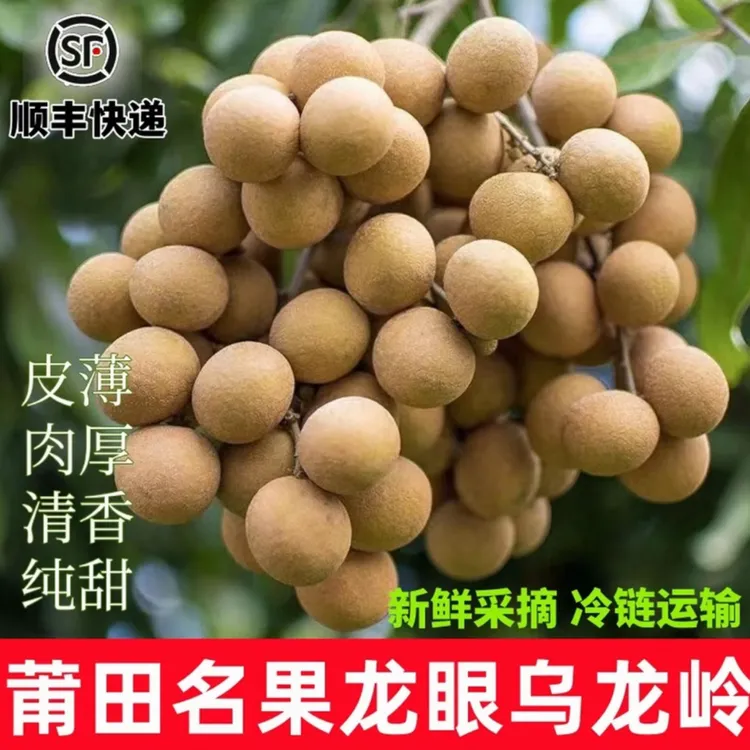 【顺丰空运】福建莆田乌龙岭龙眼新鲜现摘当季水果清甜爽口