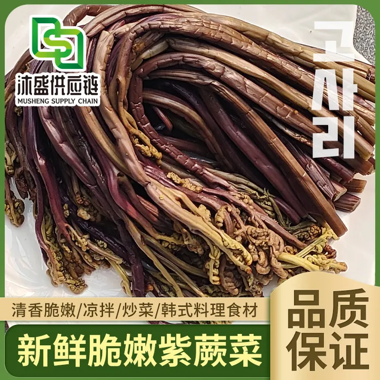 【脆嫩紫蕨菜500g/袋】新鲜山菜凉拌炒菜韩式料理食材