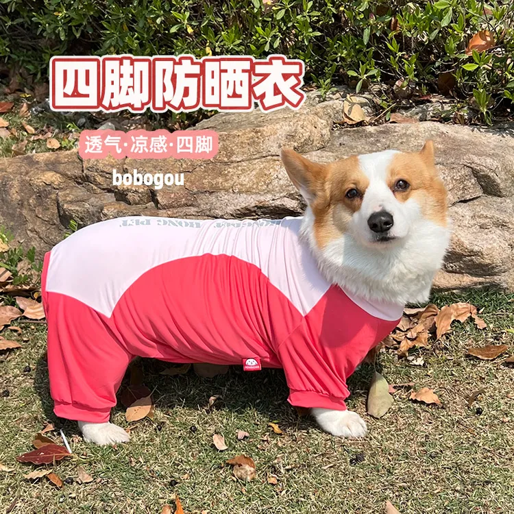 狗狗夏季四脚凉凉防晒衣服降温防虫防脏护肚防掉毛柯基中小型乘车