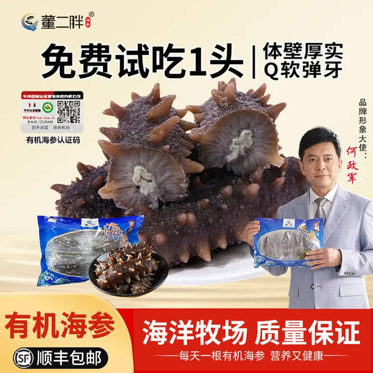董二胖有机鲜食海参 8-10个/斤 Q弹劲道营养丰富 原头工厂直供