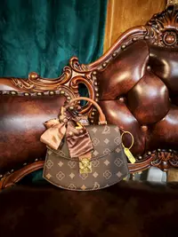 2025新款轻奢老花字母马鞍包8080