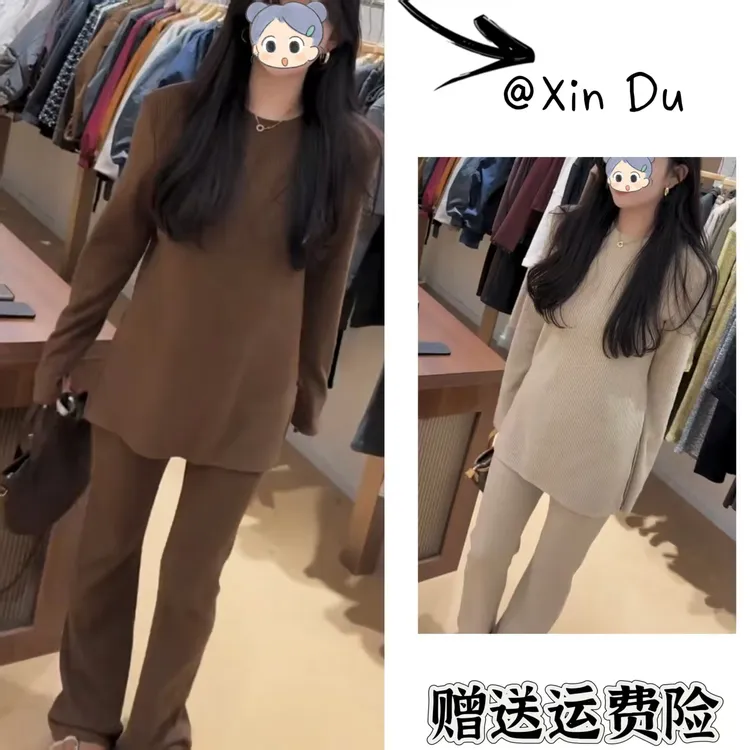 2025秋季新款时尚显瘦气质女士网红洋气两件套百搭款D23528