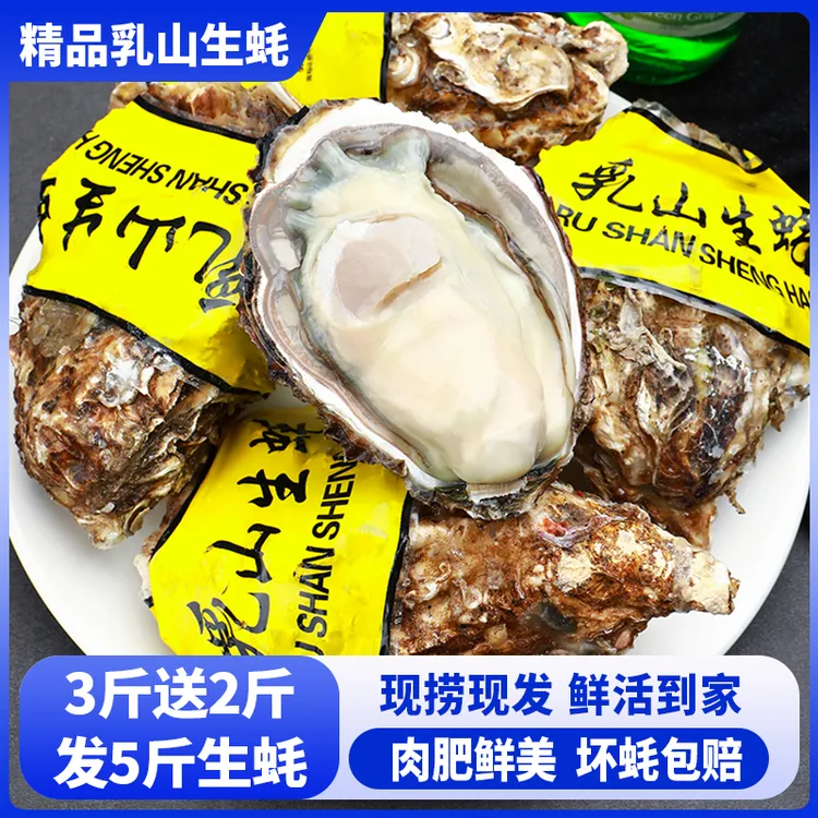 【3斤送2斤 发5斤】乳山生蚝鲜活包肥牡蛎海蛎子海鲜水产烧烤