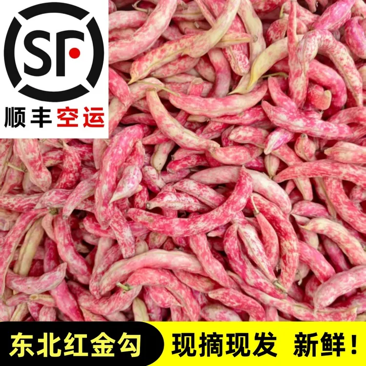 东北黄金勾勾黄豆角东北特产黄金钩豆角新鲜采摘红金勾豆角空运邮