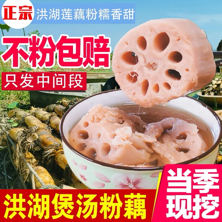 正宗洪湖莲藕新鲜现挖煲汤粉藕糯米藕面藕湖北九孔莲藕新鲜中段藕