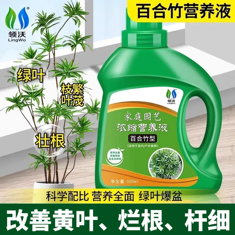 百合竹专用营养液肥料治百合竹叶子发黄干尖枯叶盆栽绿植植物液体