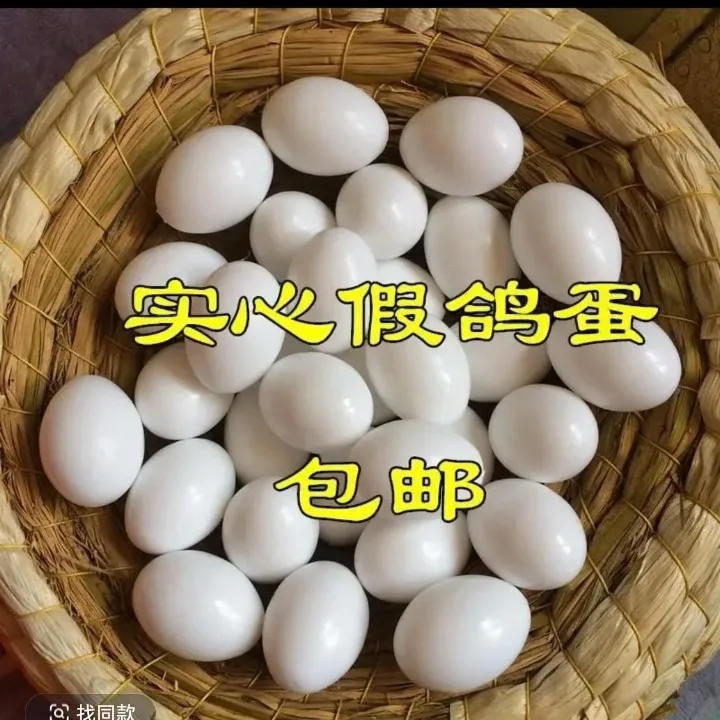 鸽子实心结实耐用仿真蛋