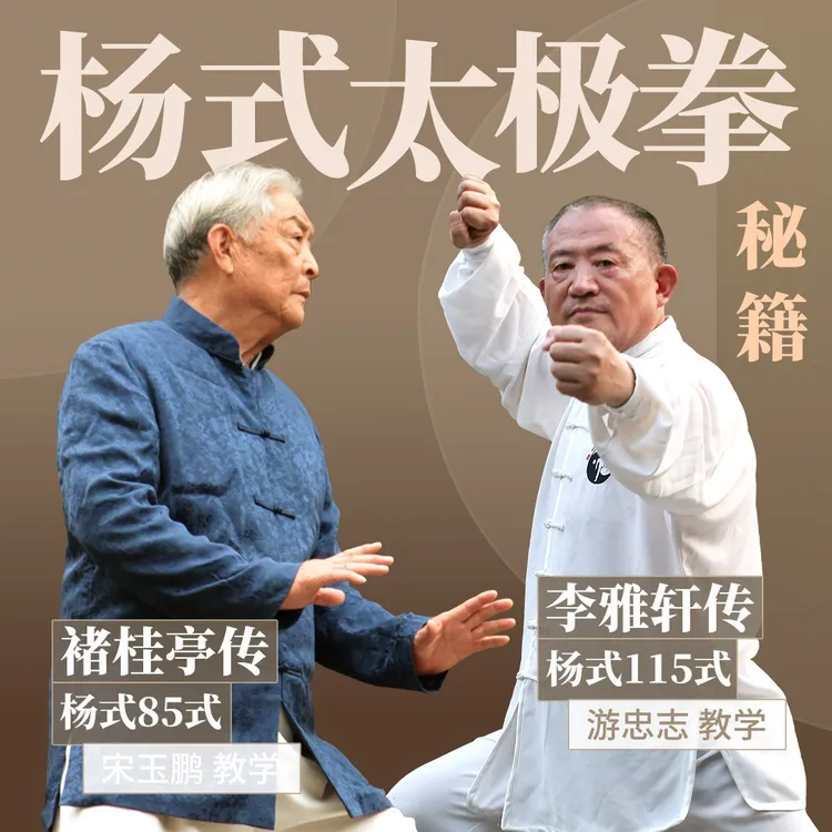 杨式太极拳秘籍  传统85式拳+115式拳