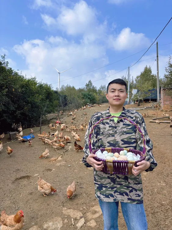 枣阳山林散养土鸡蛋乌鸡蛋混合装新鲜美味营养富含丰富卵磷脂