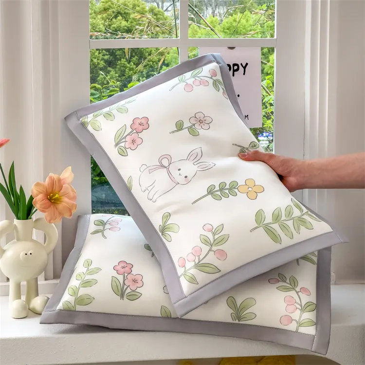 夏季冰丝凉感枕套单只装卡通学生宿舍30x50cm枕头幼儿园午睡枕芯