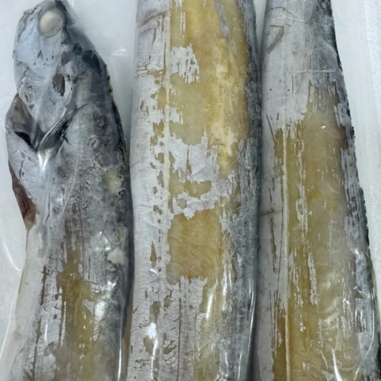象山雷达网风油带，清蒸油煎即可食用