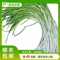 北京直发鲜蒜苗约150g±5g/份蔬菜蒜苗