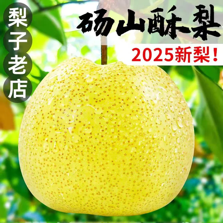 【顺丰包邮】正宗砀山酥梨现摘现发【下单送梨膏棒棒糖或梨膏】