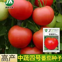 四季种植中蔬四号 蔬菜种子 大番茄 阳台盆栽果蔬庭院种蔬菜种子