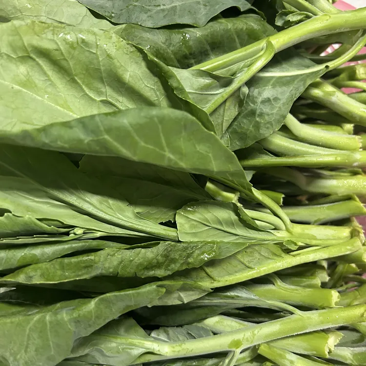 【顺丰包邮】江东新鲜芥兰芥蓝菜农家甘蓝现摘现发时令蔬菜当季菜