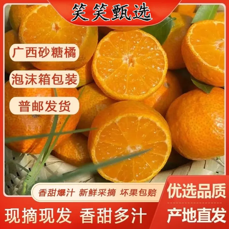 【5斤装】正宗广西桂林永福砂糖橘 应季水果 果园现摘 产地直发