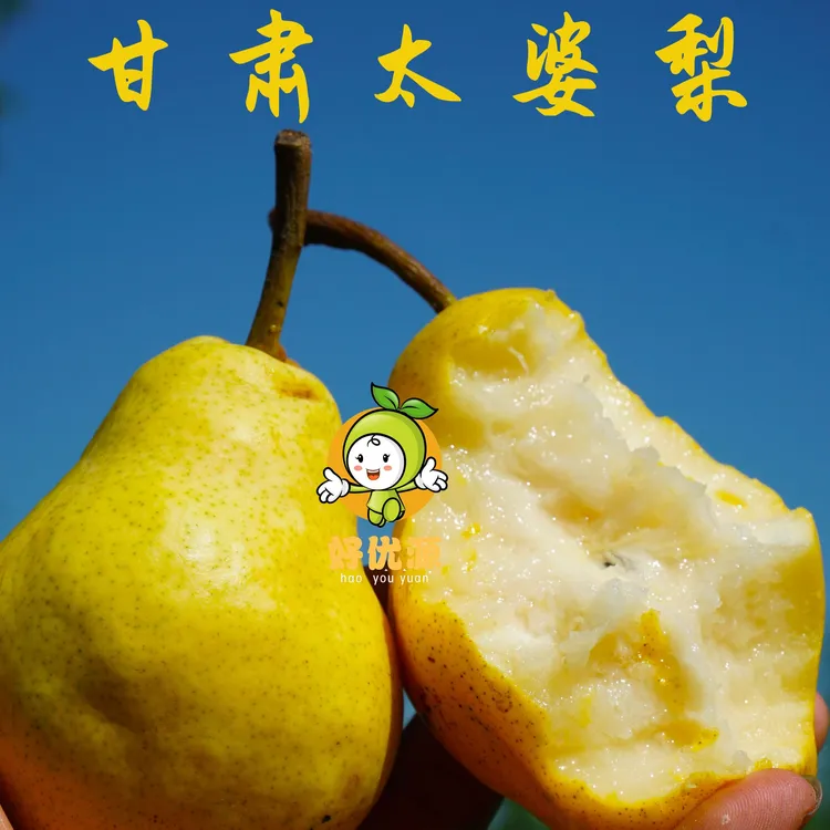 甘肃正宗太婆梨香蕉梨鸭梨大头梨当季新鲜水果软糯多汁3斤包邮