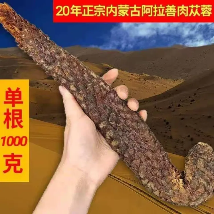 现泽堂肉苁蓉内蒙阿拉善油苁蓉整根软大芸九蒸九晒泡水煲汤泡酒