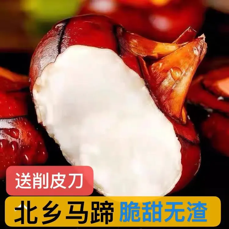 特大果广东北乡马蹄荸荠新鲜现挖地梨菩荠爽脆甜无渣水果特产送礼