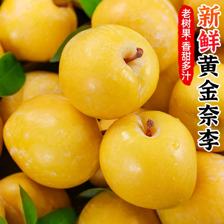 【香甜多汁】新鲜黄金奈李2-5斤李子当季蜂蜜脆李冰糖李脱骨李水果