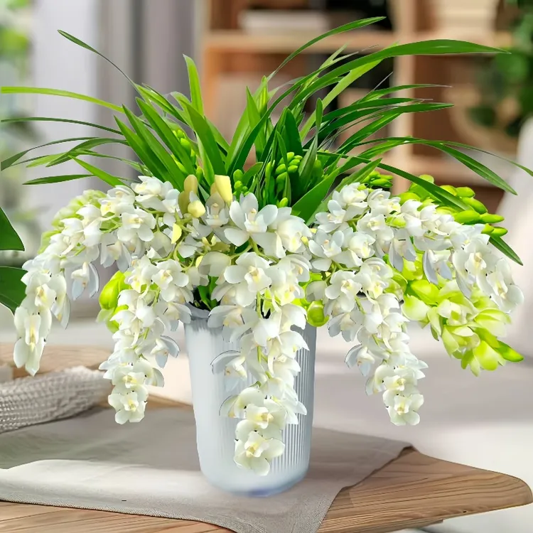 兰花名贵大花蕙兰开花浓香型【白玉香兰】室内爆盆满花盆栽花卉绿植