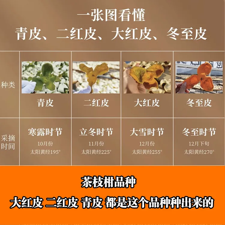 陈皮柑鲜果 茶枝柑鲜果 广陈皮专用柑 果场直发 什么柑橘做陈皮？