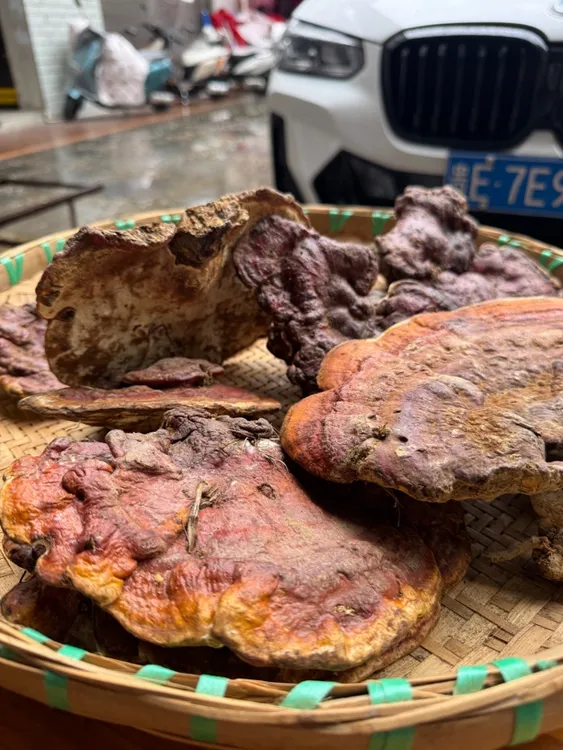 赤灵芝，高海拔赤灵芝、味苦回甘泡酒煮茶首选